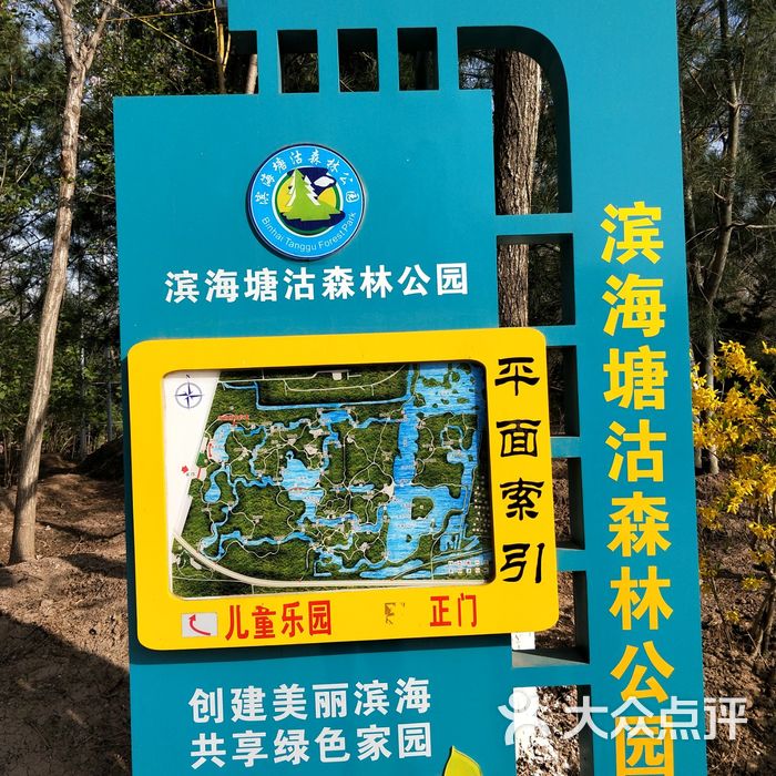 塘沽森林公园