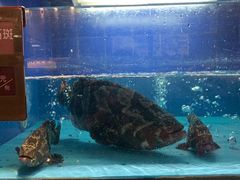 -徐记海鲜(陕西历史博物馆|明德门店)