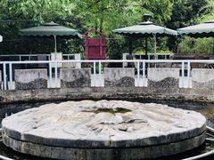-成都市活水公园