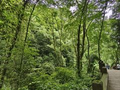 -青城山