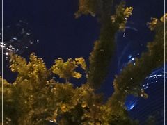 -上海柏悦酒店