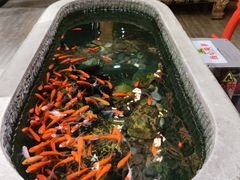 -黄家码头老火锅(解放碑旗舰店)