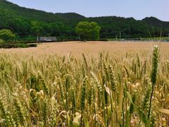 -东钱湖旅游度假区