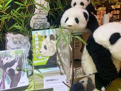 -轩客会(熊猫书店)