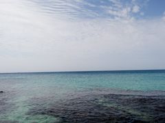 -龙坑生态保护区