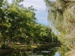 -长白岛森林公园