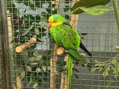 -南宫五洲植物乐园