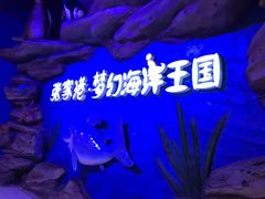 -梦幻海洋王国(吾悦广场张家港店)