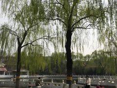 -丰台花园
