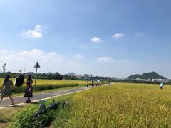 -光明小镇欢乐田园