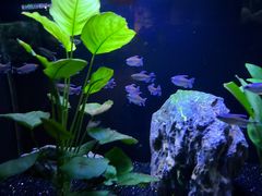 -上海海洋水族馆