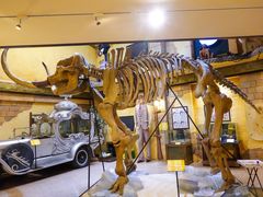 -信不信由你博物馆