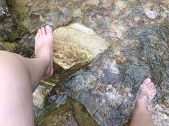 -南海湾森林生态园