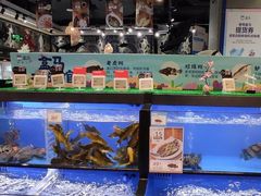水产区-盒马鲜生(皇庭广场店)
