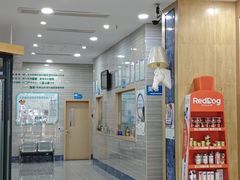 -瑞派名望志远动物医院·猫科·內科·异宠专科(直港大道店)
