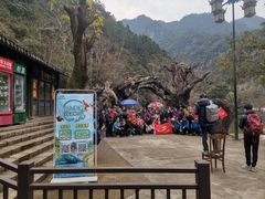 -龙湾潭国家森林公园