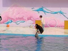 -北戴河圣蓝海洋公园