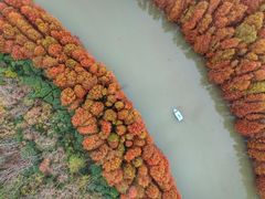 -上海海湾国家森林公园