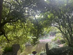 -叶家花园
