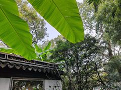 -秋霞圃