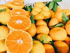 -江杨农产品批发市场