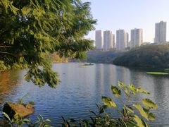 -重庆彩云湖湿地公园