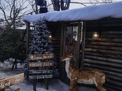 -HERRE·FARM 赫尔露营农场·团建聚会包场