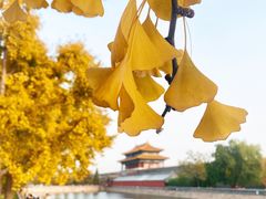 -故宫博物院(故宫)