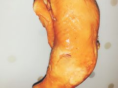 -鸡打鸣熏鸡系列(总店)