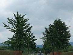 -良渚古城遗址公园