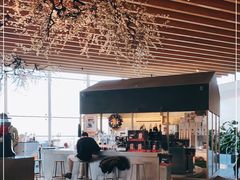 -Seesaw Coffee(朝阳大悦城店)