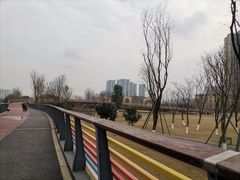 -府河摄影公园