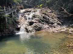 -九龙江国家森林公园