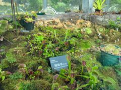 -国家植物园南园