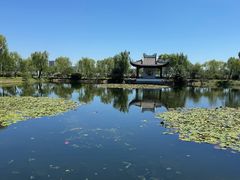 -无锡蠡湖国家湿地公园-蠡园