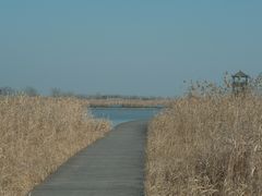-盐城丹顶鹤湿地生态旅游区