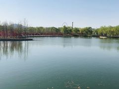 -石家庄市植物园