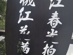 -重庆彩云湖湿地公园