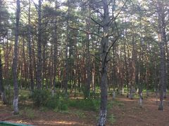 -帽儿山国家森林公园