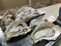 -顺德哥卜卜贝(旗舰店)