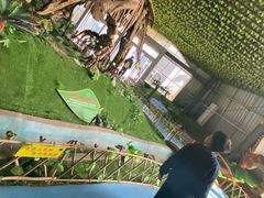 -诸城市恐龙博物馆