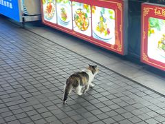 -天津意大利风情旅游区