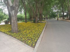 -长春公园(普阳街道)