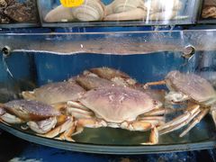 -渔中舟海鲜大排档(普陀沈家门店)