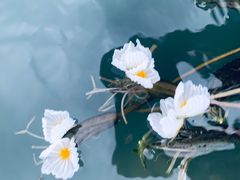 -丽江泸沽湖景区