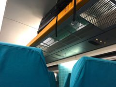 -龙阳路磁悬浮列车总站-停车场