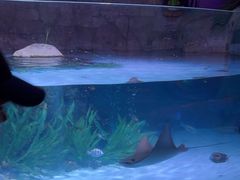 -沈阳海洋探索中心