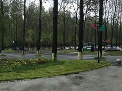 -黄海国家森林公园