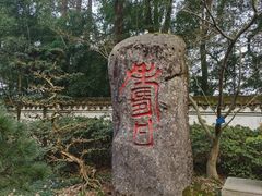 -南山植物园