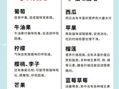 -翊宠yipet猫狗购宠庄园犬舍•猫舍